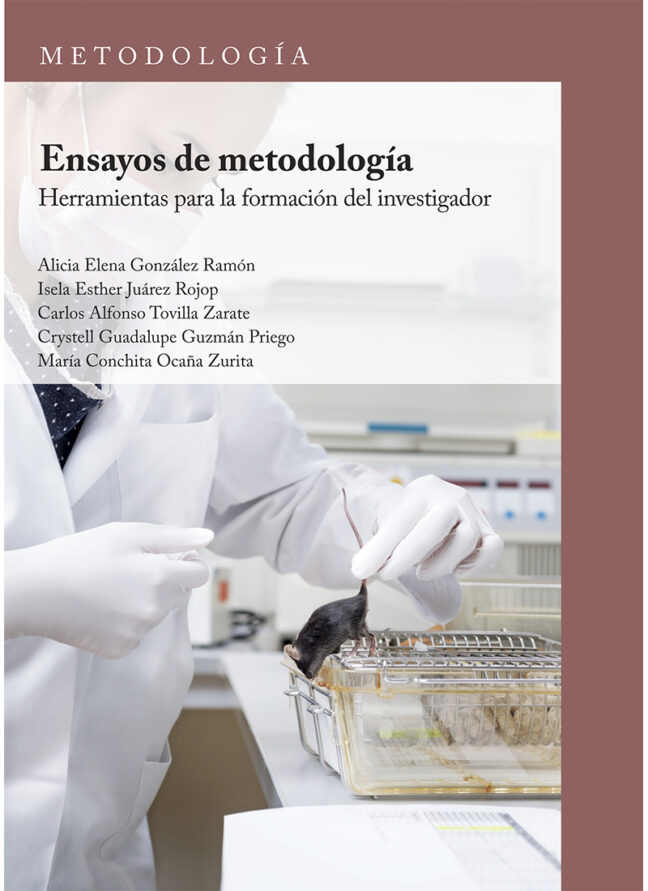 Ensayos De Metodología