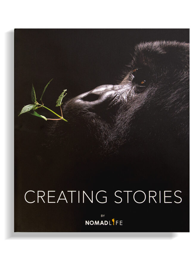 Creating Stories