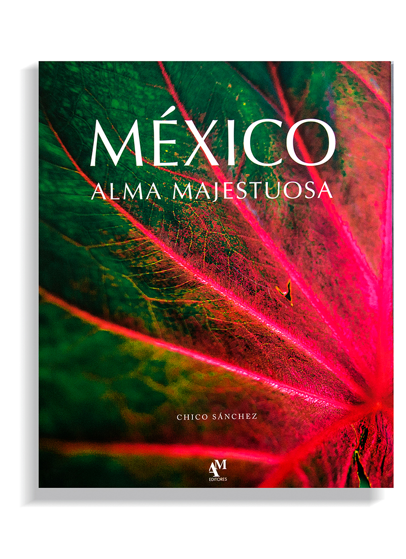 portada-110.jpg